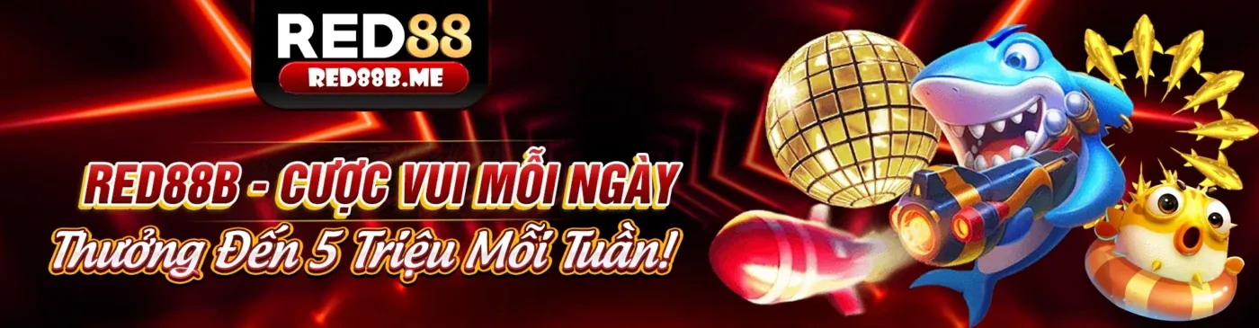 Giao diện ứng dụng 888vi trên điện thoại